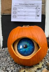 Eye See You, O'Byrne Cleary, Family or Group