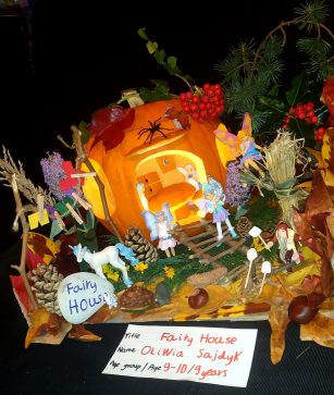 Fairy House - Oliwia Sajdyk - Age 9-10