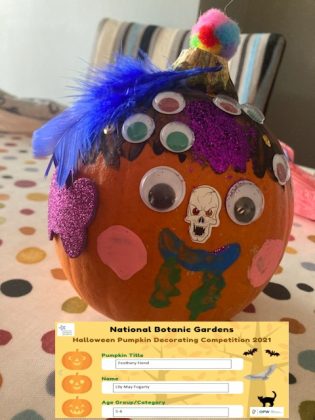Feathery fiend, Lily May, Age 5-6