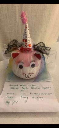FrankenSpiderUnicorn Romy McCabe Age 5