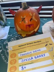 Friendly Devil - Stella Barry - Age 8