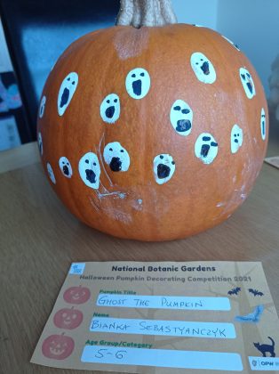 Ghost the Pumpkin, Bianka Sebastyanczyk, Age 5