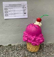 Ice Cool, Duva O'Byrne Cleary, Age 9-10