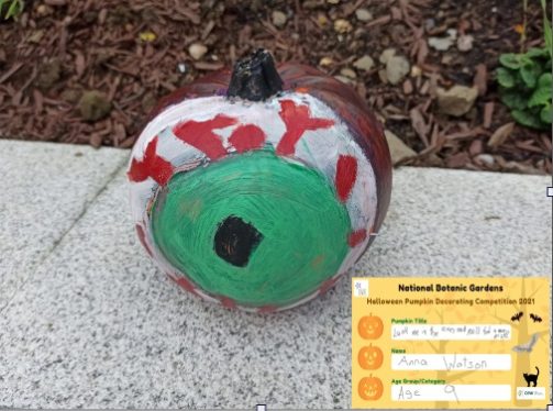 Look me in the eyes and you'll find a magic prize, Anna Watson, Age 9