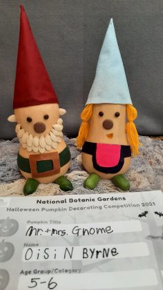 Mr. & Mrs. Gnome Oisin bYRNE AGE 6