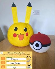 Pikachu Luke Clarke Age 7