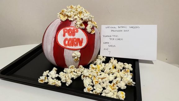 Pop Corn Nadia Age 7