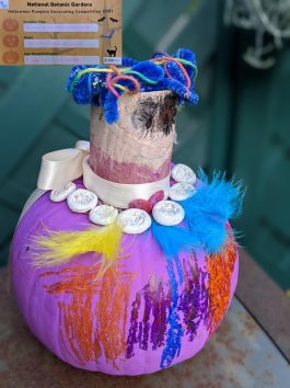 Princess of the empty pumpkin patch by Matilda Rodriguez-Guntin, age 8