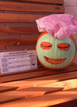 Pumpkin Pamper Session Students of Dominican College Age 16