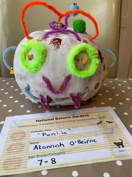 “Punkin” Alannah O’Beirne Age 7