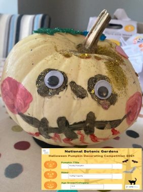 Punky Pumpkin, Tadhg Fogarty, Age 0-4