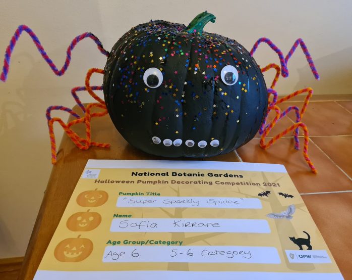Super Sparkly Spider, Sofia Kirrane, Age 6