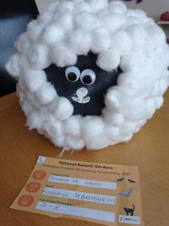 Suzanne the Sheep, Florencja Sebastyanczyk, Age 7
