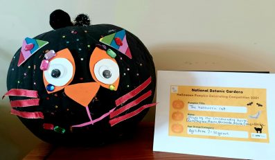 The Halloween Cat Ruth's childminding house