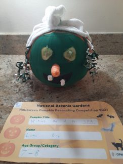 Witch's Day at the SPA Liana Ring age 8