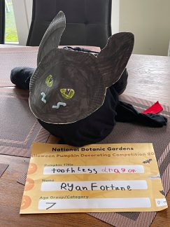 toothless dragon, Ryan Fortune, Age 7