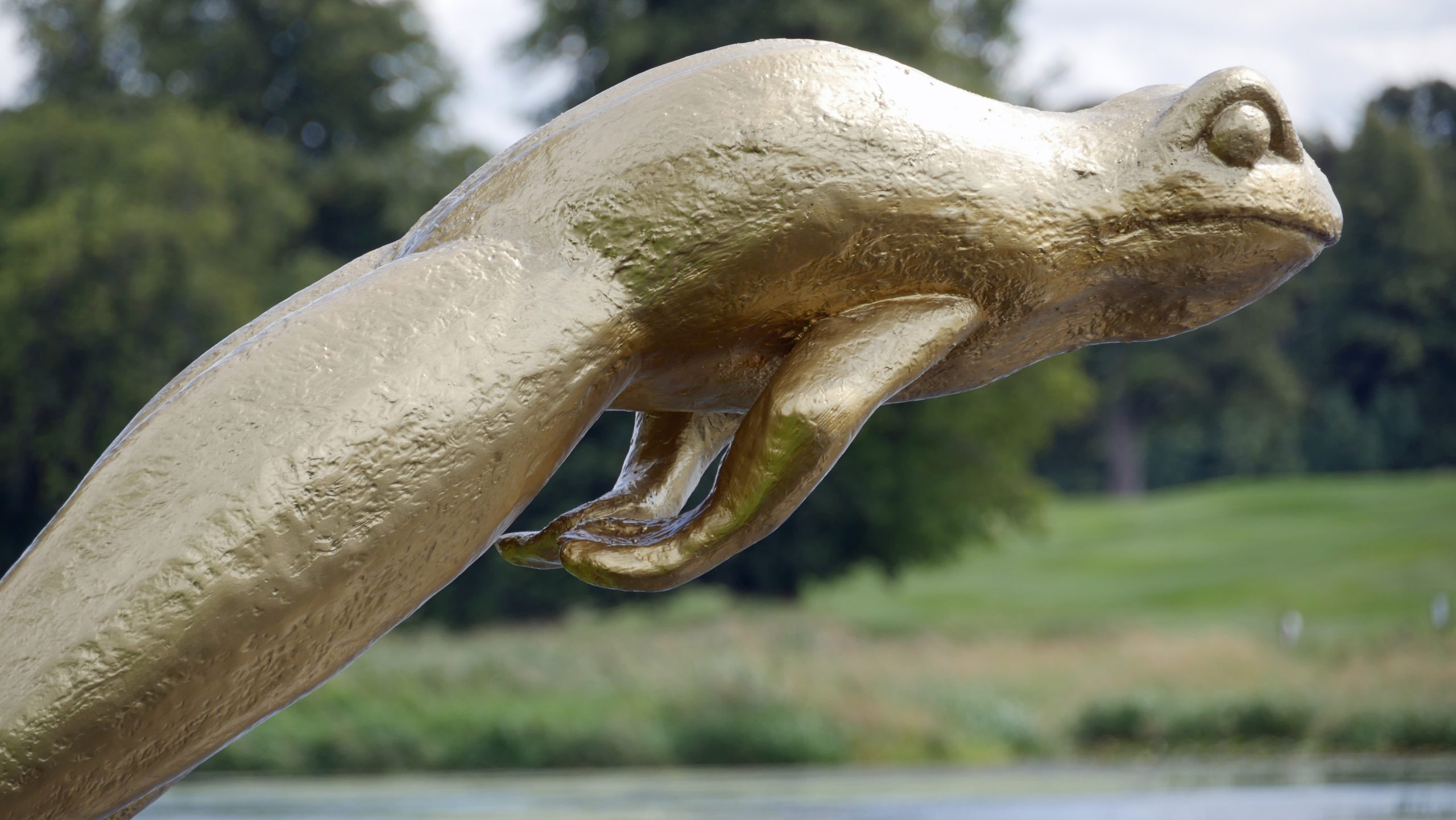 4 metre long sculpture of a gold giant frog leaping into the pond