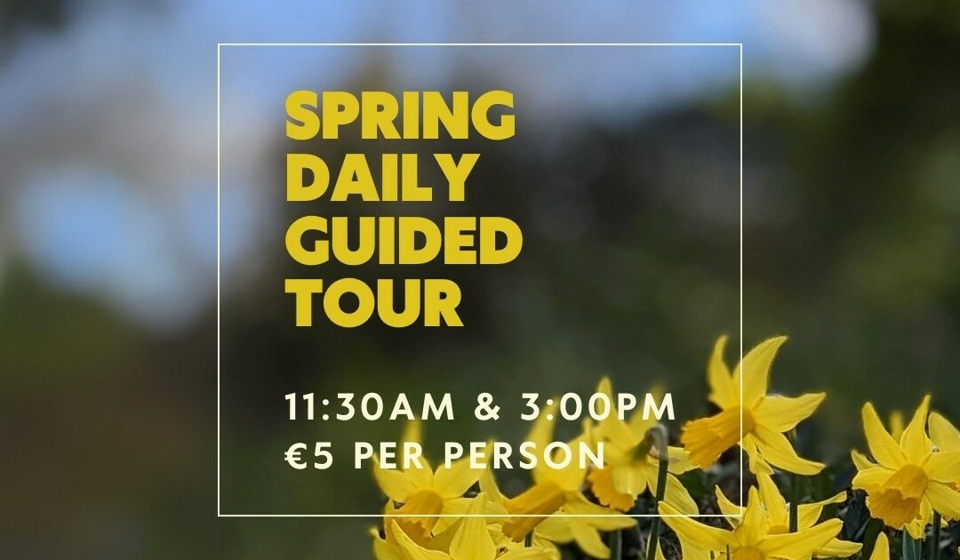 Spring Daily Guided Tour