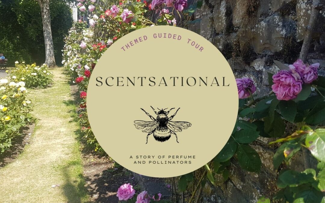 June Themed Tour: Scentsational – A Story of Perfume and Pollinators