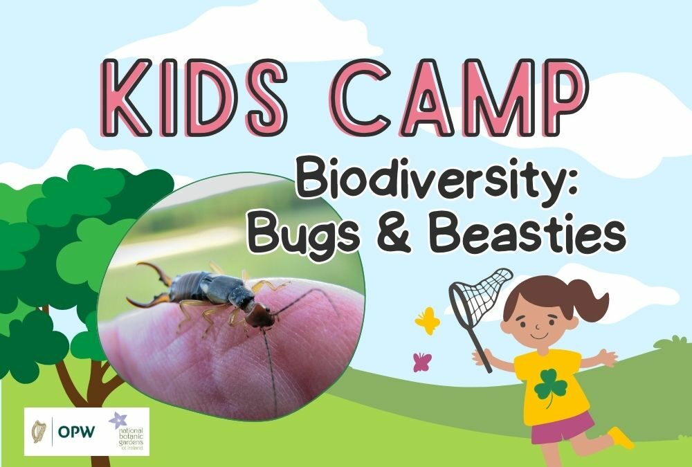 Kids Camp: Biodiversity Bugs & Beasties