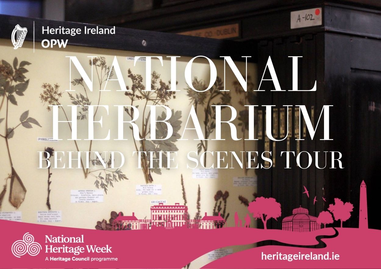 Behind the Scenes at the National Herbarium