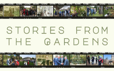 Exhibition – Stories from the Gardens