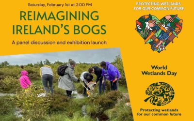 Reimagining Ireland’s Bogs: Panel Discussion and Exhibition Launch